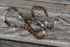 Tigers Eye Rosary